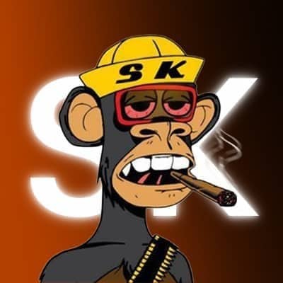SK XCHANGE — Paid explainers for Beldex, VanGrid, Sleepagotchi and exchange campaigns