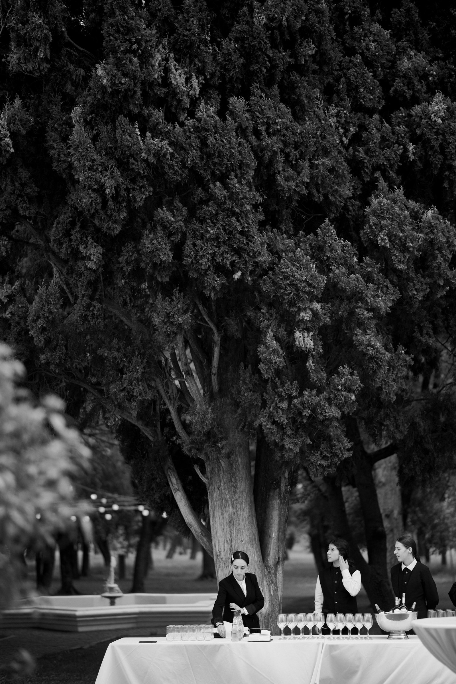Guests under the old tree in the palace garden, black and white