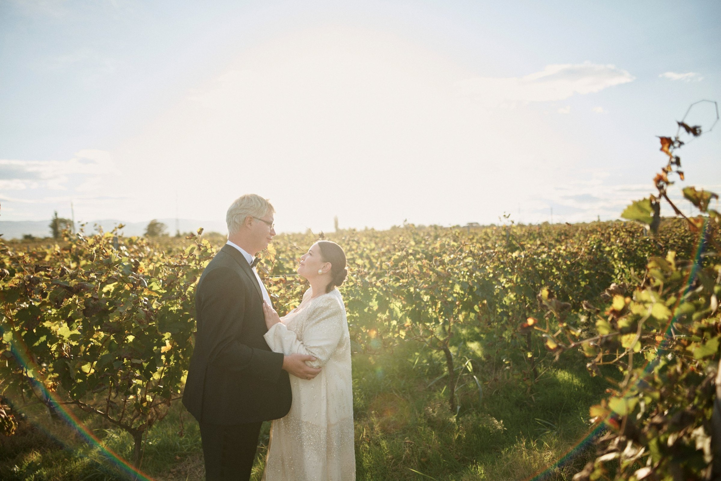 Golden hour among the turning vines