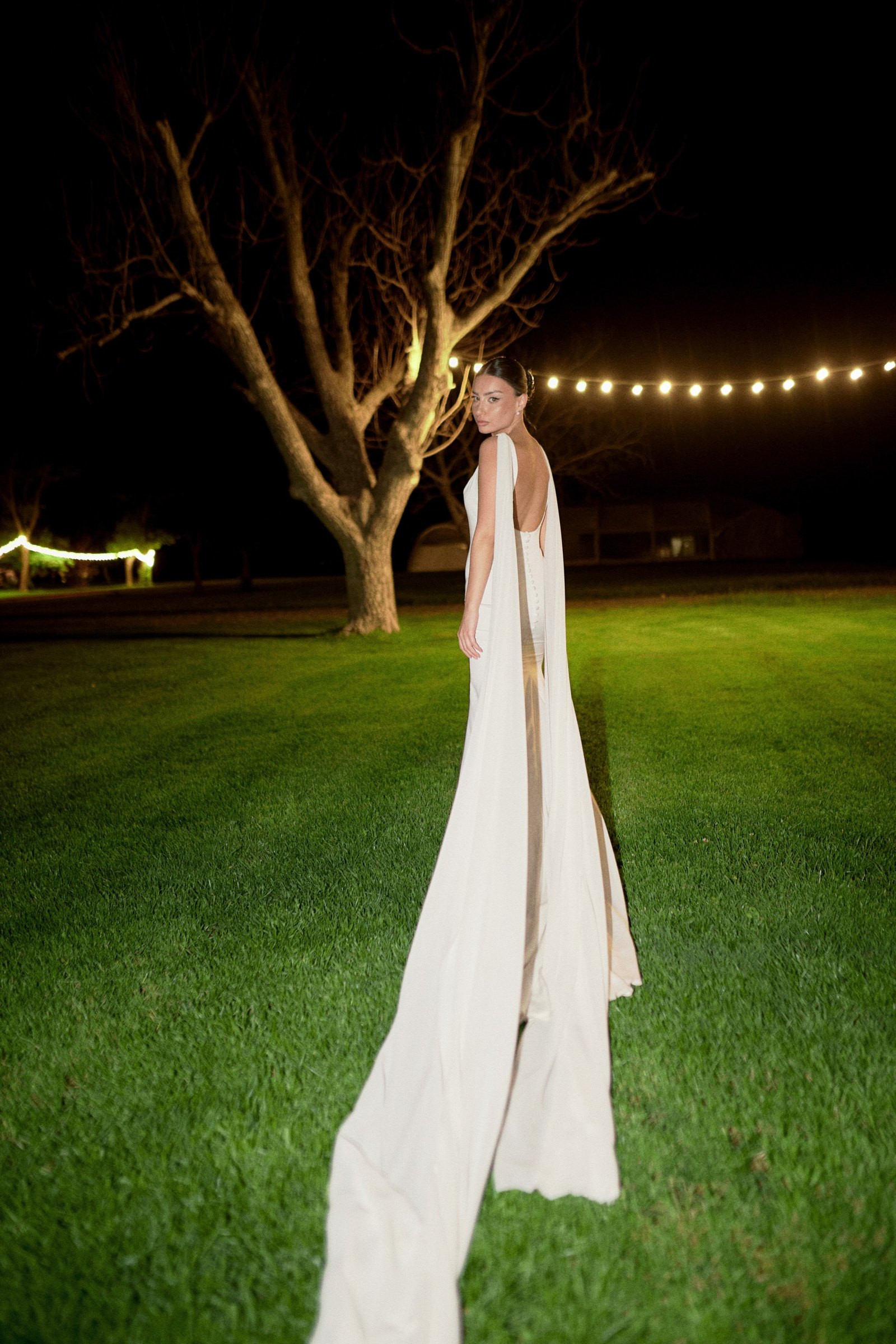 The dress under the old tree, lit for the night