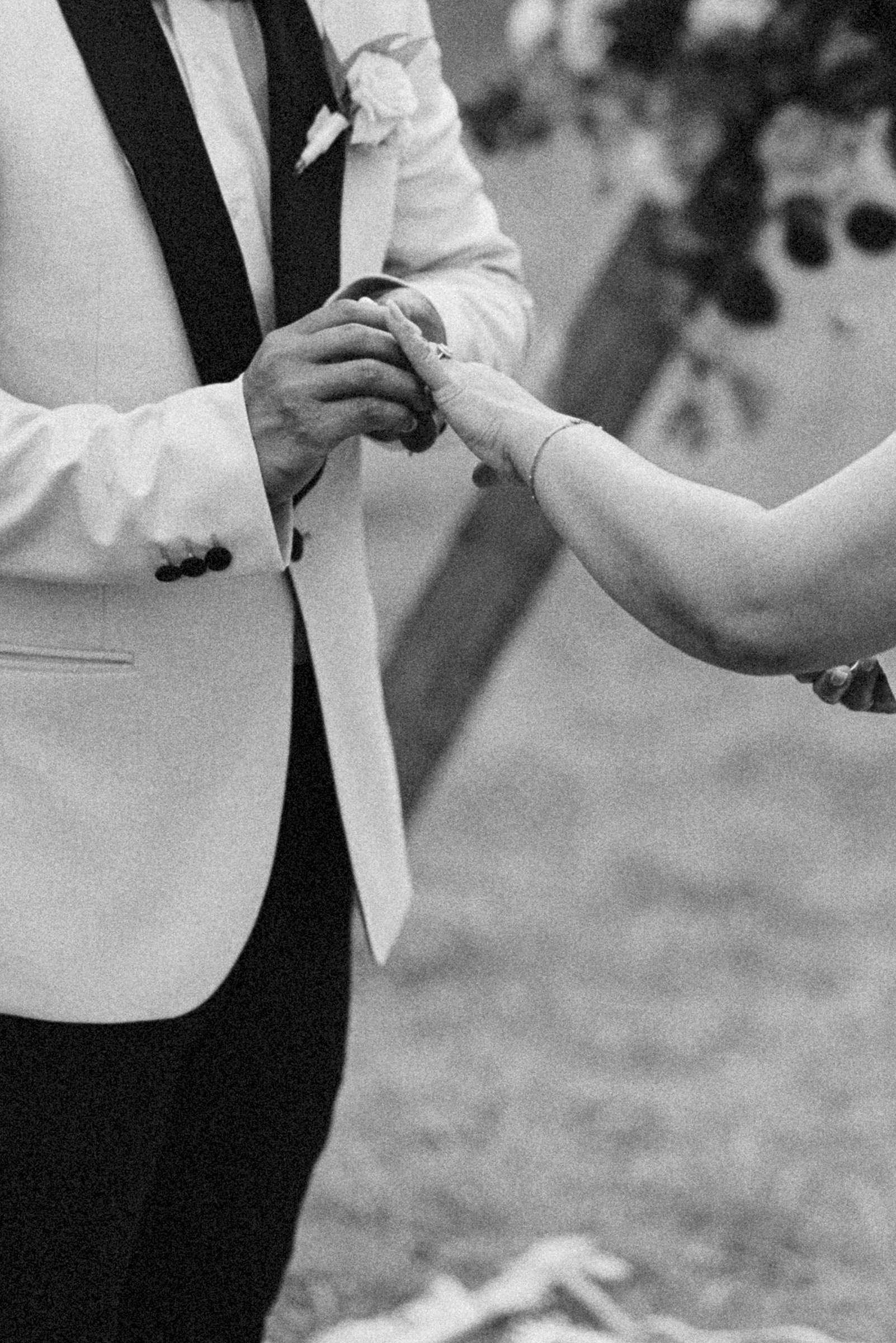 The rings exchanged on the plateau, black and white