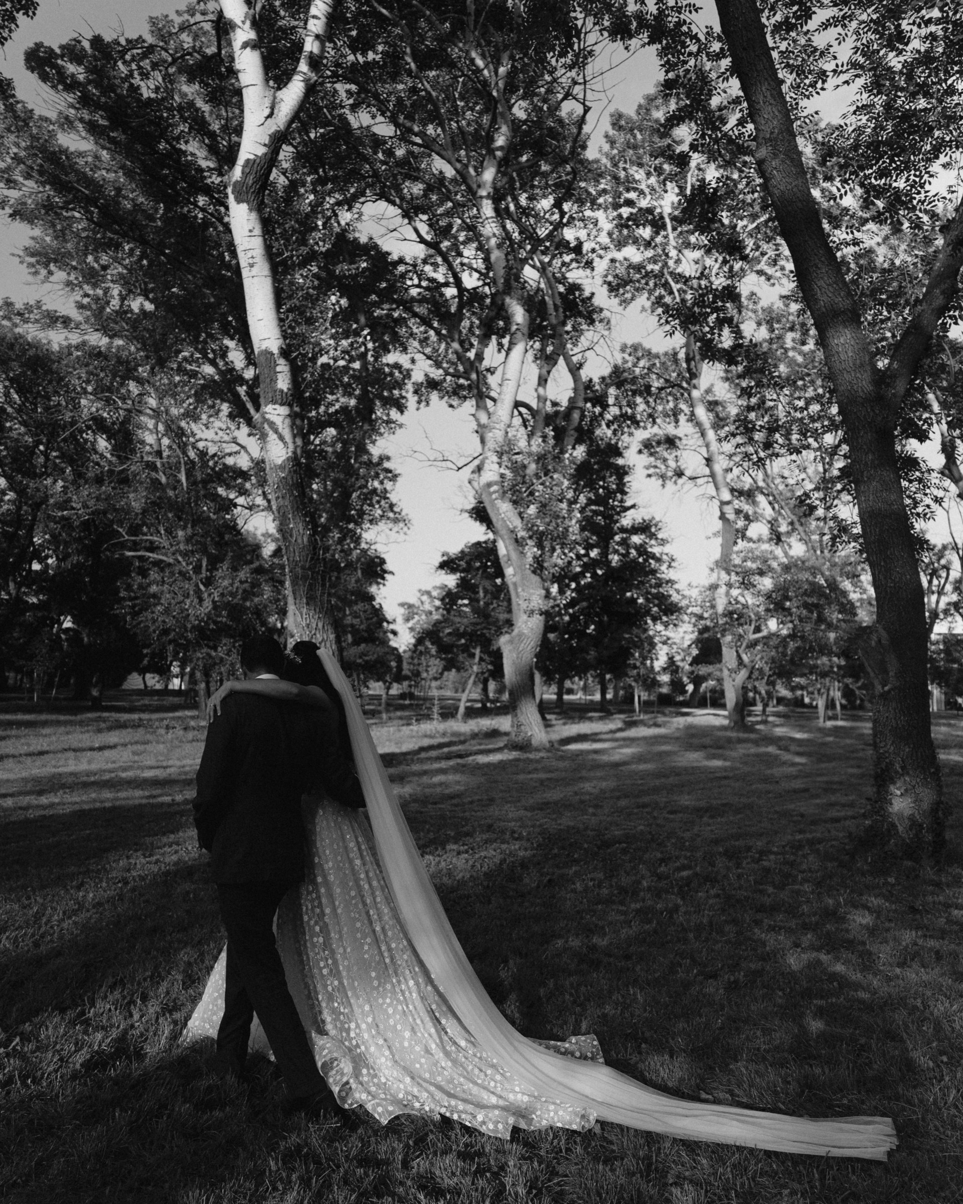 The train carried across the park lawn, black and white