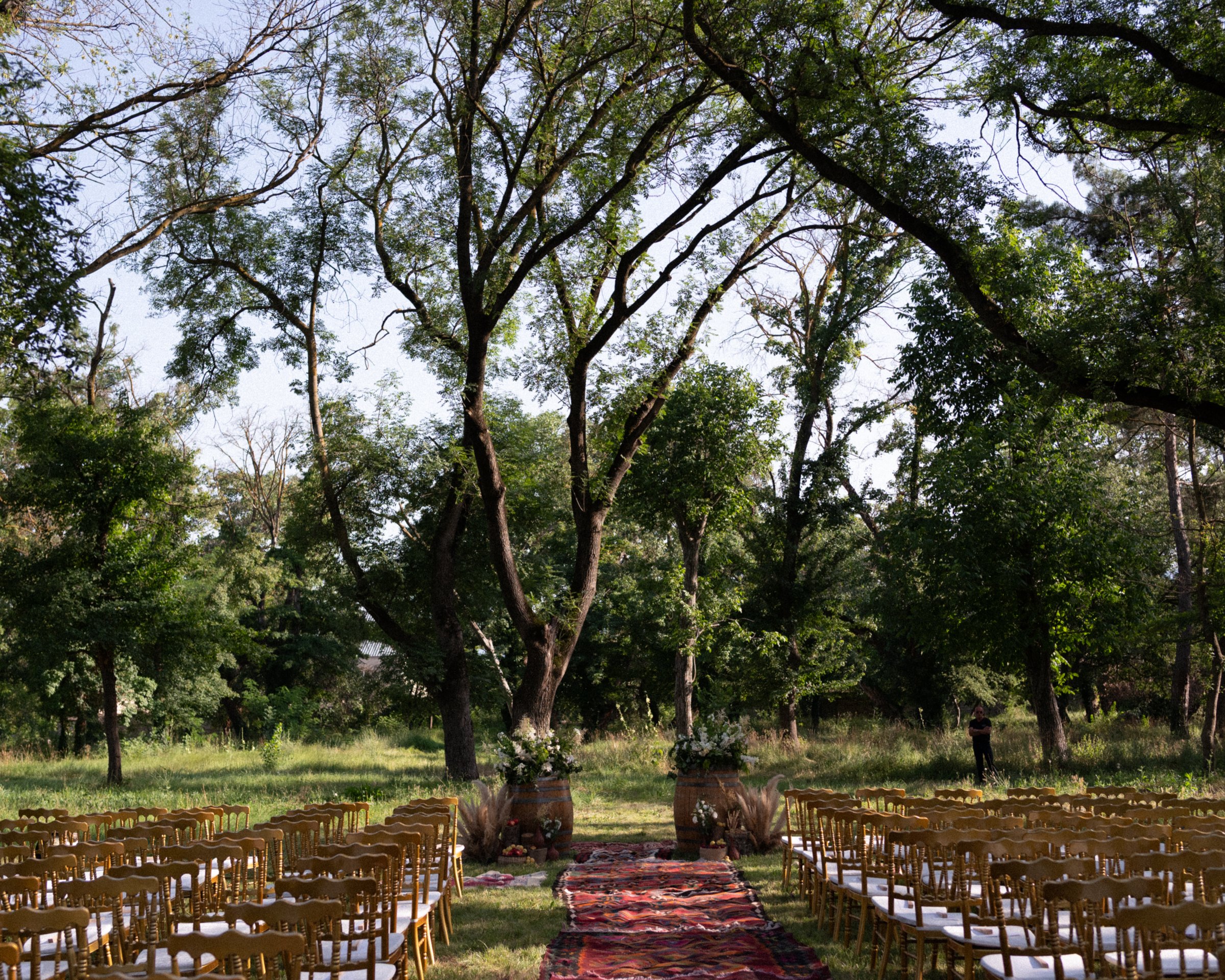 A carpet road through the trees — the aisle before the guests arrive